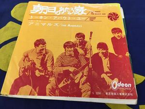 Animals★中古7