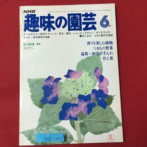 M6g-063 NHK 趣味の園芸 昭和53年6月1日発行 今月おぼえたい栽培テクニック 香りを楽しむ植物 盆栽〜初夏の手入れ竹と笹 つまもの野菜 など