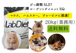 ☆送料無料/最安値に挑戦！【ハムスター、マウス用 エサ】ローデントダイエット ＥＱ 20ｋｇ 5L37 Lab Diet