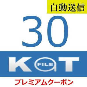 【自動送信】KatFile プレミアムクーポン 30日間 通常1分程で自動送信します