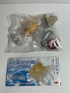 原色鑑賞魚図鑑 改訂増補版 単品　エドアカネ　シークレット ガチャ　フィギュア　金魚　観賞魚　メール便、定形外不可