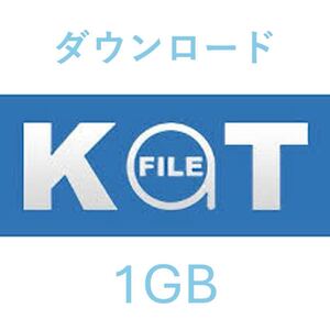 Katfile Rapidgator等 1GB分 ダウンロード premium限定ファイル対応