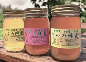 幻の蜂蜜 びわ蜂蜜 しころ蜂蜜 あざみ蜂蜜 各600g 計3本 1800ｇ希少＆超希少な蜂蜜 600ｇ3本セット 九州、北海道産 ◎びわ