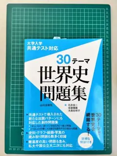 大学入学共通テスト対応 30テーマ 世界史問題集