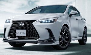 レクサスNX LEXUS NX フェンダーアーチモール（カラード）