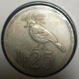 (C-622)　インドネシア　25ルピア白銅貨　1971年