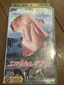 即決！早い者勝ち！DVD未発売■廃盤VHS■希少ビデオ■エロチカル・アフリカ(1971) ジャングル・エロティック　アメリカ映画　日本語吹替版