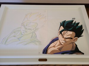 DRAGON BALL　セル画　直筆動画付き　孫悟飯　検　ドラゴンボール　鳥山明