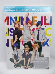 ☆2118 新品 Anime Illustration Works 特装版 特典付