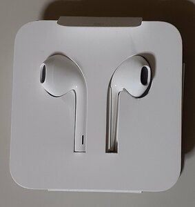 4696 Apple純正 イヤホン EarPods Lightning iPhone対応 有線イヤホン ライトニング