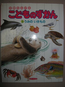 ・体験を広げる　こどものずかん　うみのいきもの５・６歳～ 幼児 図鑑：ヤドカリやイソギンチャクの引越し・ひかりのくに 定価：\800 