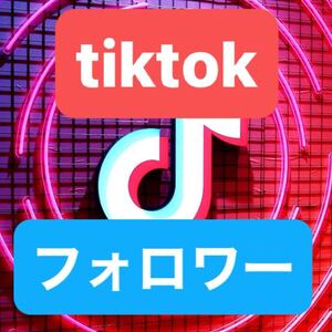 tiktokフォロワー5万人増加できるツール 最高品質 自動ツール 在庫多数 Instagram YouTube X等も御相談ください 増やせます！