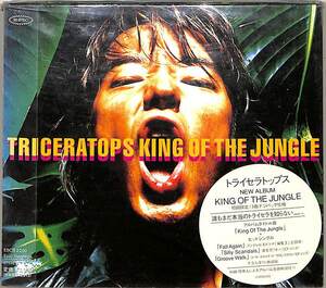 D00143263/CD/トライセラトップス「キング・オブ・ザ・ジャングル」