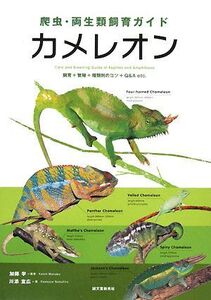 爬虫・両生類飼育ガイド カメレオン 飼育+繁殖+種類別のコツ+Q&A etc./加藤学【監修】,川添宣広【著】