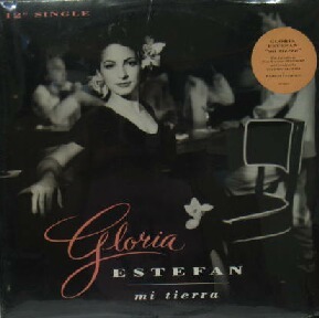 $ GLORIA ESTEFAN / MI TIERRA (49 77063) 美 Y3 レコード