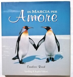 中古本　イタリア語 『 IN MARCIA PER AMORE 』 16cm×15.5cm　