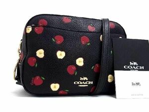 1円 ■美品■ COACH コーチ 76055 レザー アップル クロスボディ ワンショルダーバッグ 斜め掛けかばん レディース ブラック系 AY6264