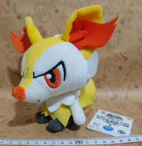 テールナー コロっとまんまるぬいぐるみ ポケモン タグ付き