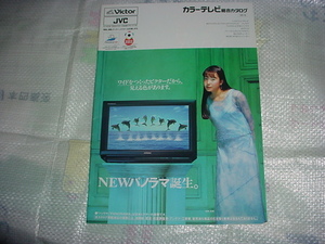 1995年9月　ビクター　カラーテレビ総合カタログ　菅野美穂