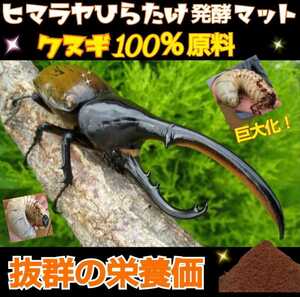 【改良版】雑虫、コバエが湧かなく使いやすい！ヒマラヤひらたけ発酵カブトムシマット☆幼虫の餌・産卵に抜群！栄養添加剤入り　大きくなる