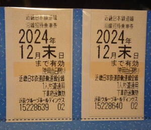 近鉄株主優待乗車券2枚セット 有効期限 2024年12月末日まで