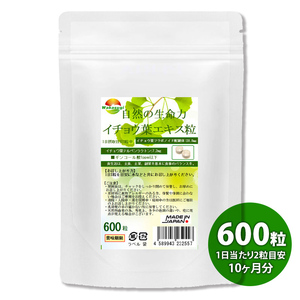 特大パッケージ イチョウ葉エキス粒 600粒 約10か月分 含有率に着目