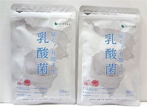 送料無料 乳酸菌 約6ヶ月分(約3ヶ月×2袋) サプリメント シードコムス 新品未開封