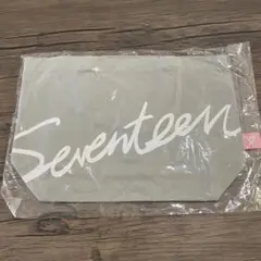 SEVENTEEN セブチ ランチバック