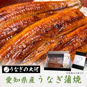 ◇訳あり 愛知県産◇うなぎ 蒲焼 (117g～132g)ｘ4尾：冷凍 真空パック 鰻 蒲焼 ウナギ 国産