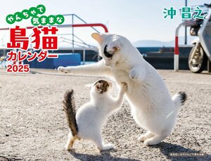 2025 沖昌之 やんちゃで気ままな 島猫カレンダー（壁掛け） ([カレンダー])