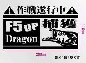 釣りステッカー 　「太刀魚　F5UP Dragon 捕獲作戦遂行中！」　タチウオ　切り文字　カッティングステッカー