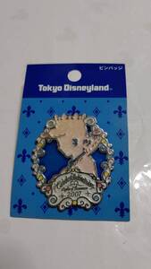 TDL 2007年シンデレラブレーションのピンバッジ