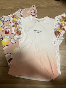 ZARA 152cm Tシャツ　２枚セット　りんご柄　送料無料