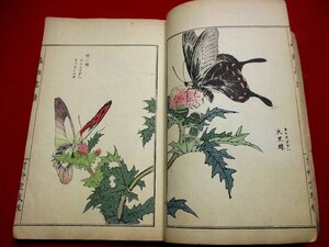 b621◇ 虫類画譜　木版画集　芸艸堂　芸草堂　明治43年　検)　幸野楳嶺　神坂雪佳　渡辺省亭　美術海　今尾景年　和本 古書 古文書