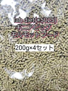 ギニアピッグ ラブダイエット 5025 モルモットフード 200g 4セット lab diet デグー チンチラ モルモット 小動物