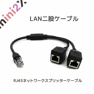 LANケーブル 分岐ケーブル 分配器 二股分岐 アダプター コネクタ RJ45 分配 オス メス 二股ケーブル 【※2台のパソコンを同時に使用不可】