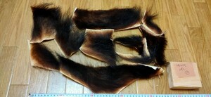 ●フライマテリアル●ツキノワグマの毛皮 端切れ（11） 羆 熊 毛皮 / 毛鉤 毛針 フライ 月の輪 月ノ輪 月輪熊