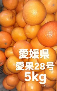 愛媛県産　愛果28号　柑橘　5kg