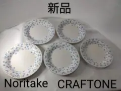 新品 Noritake ノリタケ プレート 皿 5枚 セット S-3