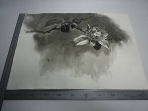 「椿 2 」水墨画【坂垣内 将泰】作者直筆原画「真作」P10号ハーネミューレ紙【裏面試描有】(経年保管品)【送料無料】00700210