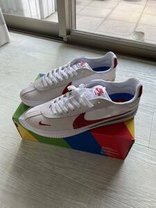 ナイキ NIKE SB BRSB US11 29cm