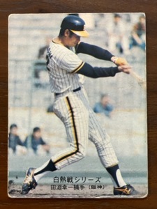 カルビープロ野球カード　NO554　田淵幸一