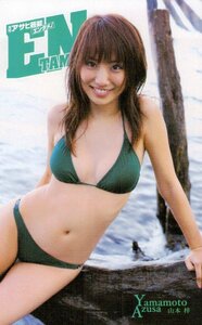 ★山本梓　エンタメ★テレカ５０度数未使用tq_68