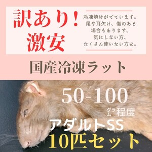 訳あり激安！　国産冷凍ラット　アダルトSSサイズ　約50-100g　10匹セット