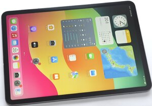 1円～最短発送 送料無料 ジャンク品 iPad Pro 11インチ 256GB 第1世代 Wi-Fi MTXQ2J/A V0TY 訳あり 修理前提・部品取り・研究用