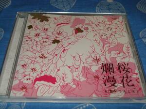 23　中古 　桜花爛漫 KEYTALK