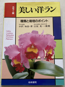 美しい洋ラン 種類と栽培のポイント 小沢知良