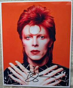 デヴィッド・ボウイ デビッド・ボウイ DAVID BOWIE●カラー写真 ●証明書付属 ●極美品 ●直筆サイン！！