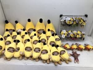 067K2357★BANANA CAT ぬいぐるみ アクリルキーホルダー マスコット ネコ 猫 バナナ プライズ 大量 まとめ グッズ バナナキャット