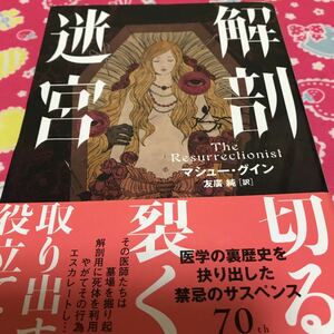 『初版/帯付』解剖迷宮　マシュー・グイン　死体を利用した。その行為はエスカレートし・・・医学の裏歴史を抉り出した禁忌のサスペンス